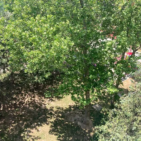 Selen Apartment-faleza Nord Διαμέρισμα
